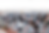 Untitled design (2).png