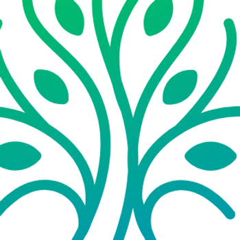 Big Tree Bespoke Education Logo.png