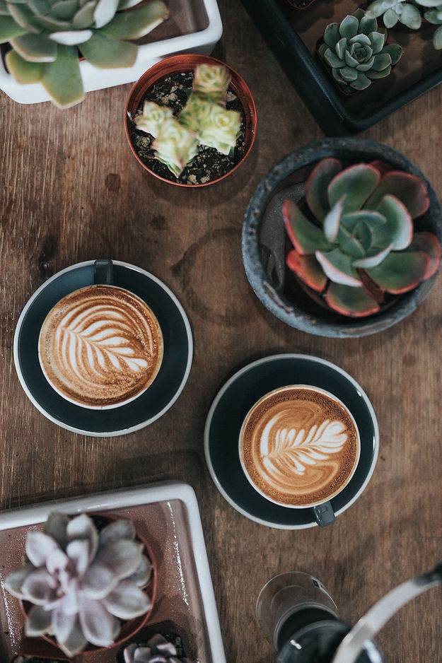 Plants%2520and%2520Coffees_edited_edited