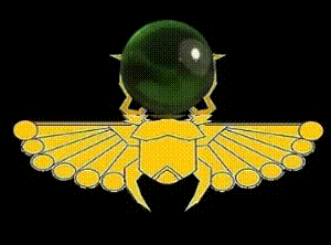 5.gif
