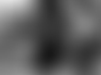 Super Secret Engagement