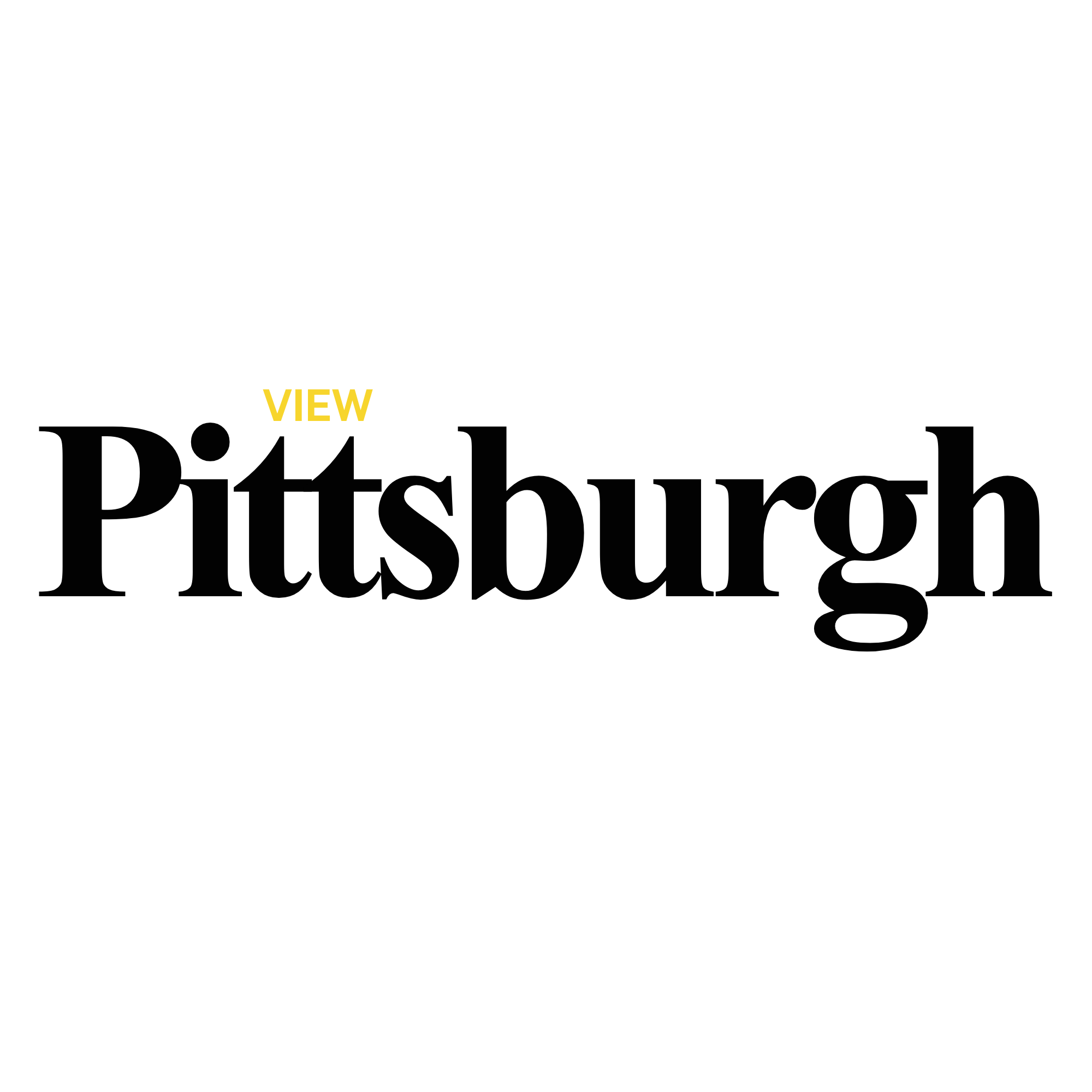 Writer: Pittsburgh VIEW