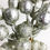 Miniatura: VARA BERRY PLATA CON BRILLO 61 CMS
