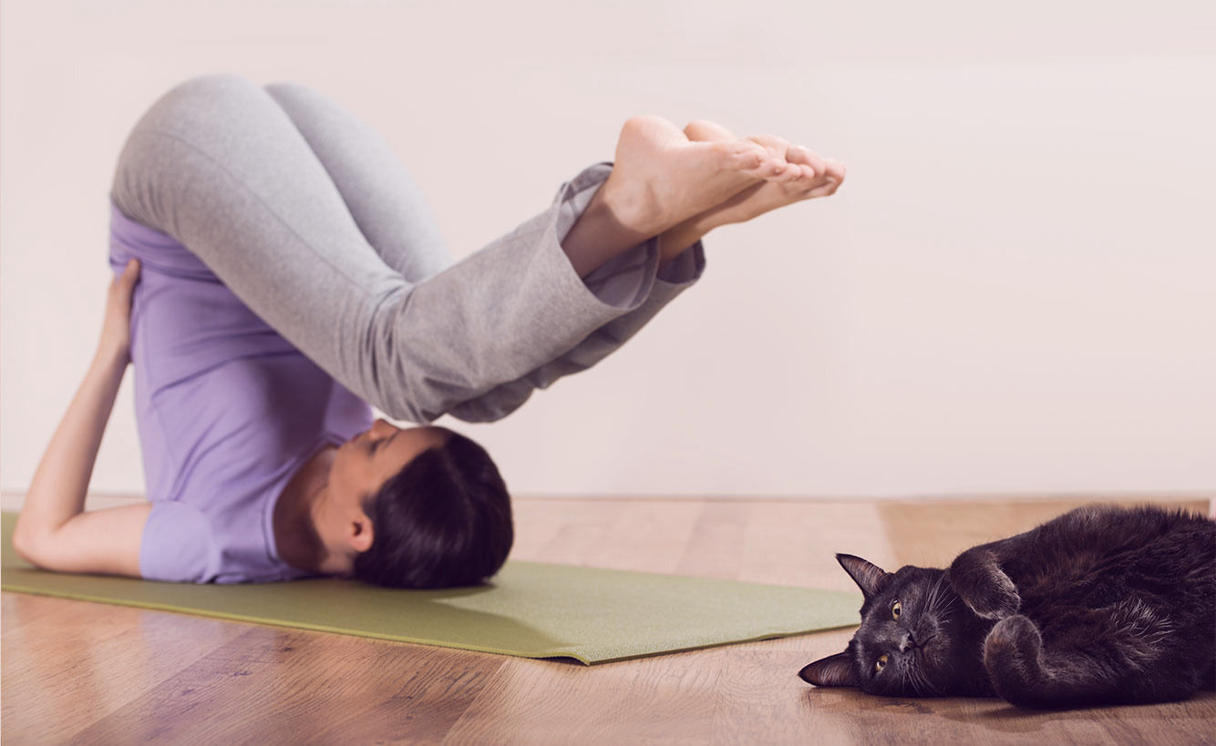 Frau mit Katze macht Yoga