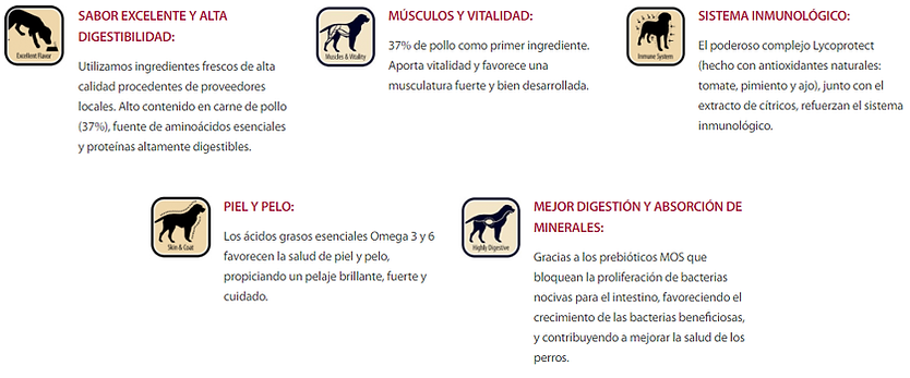 beneficios select.png