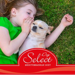 gama-productes-1-dog.jpg