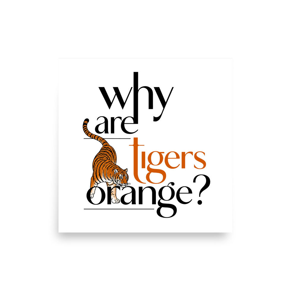 TIGERS typographic art matte poster — Cadence Studio Kid Curious Collection