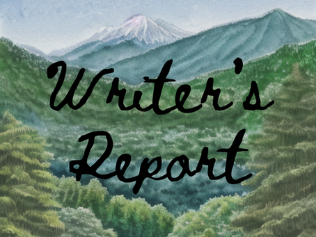 Writer's Report