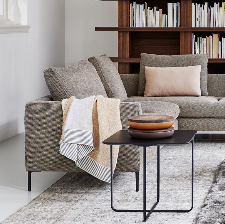 Thumbnail: Montis Daley