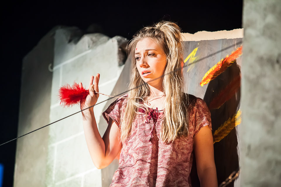 Feathers in the Snow