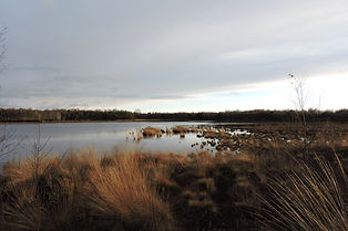 DSCN1628.JPG