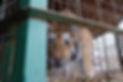 DSCF1476.JPG