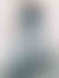 Lizard Thicket Lena Mixed Denim Flares