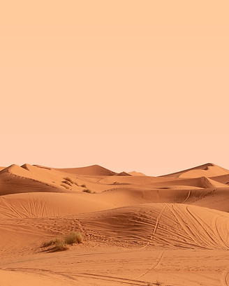 desert-4988800_1280.jpg