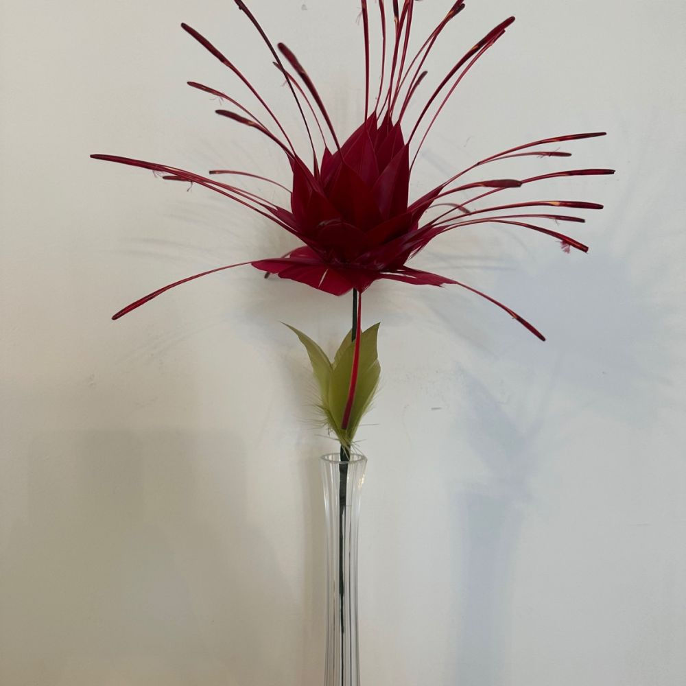 Fleur de Plumes