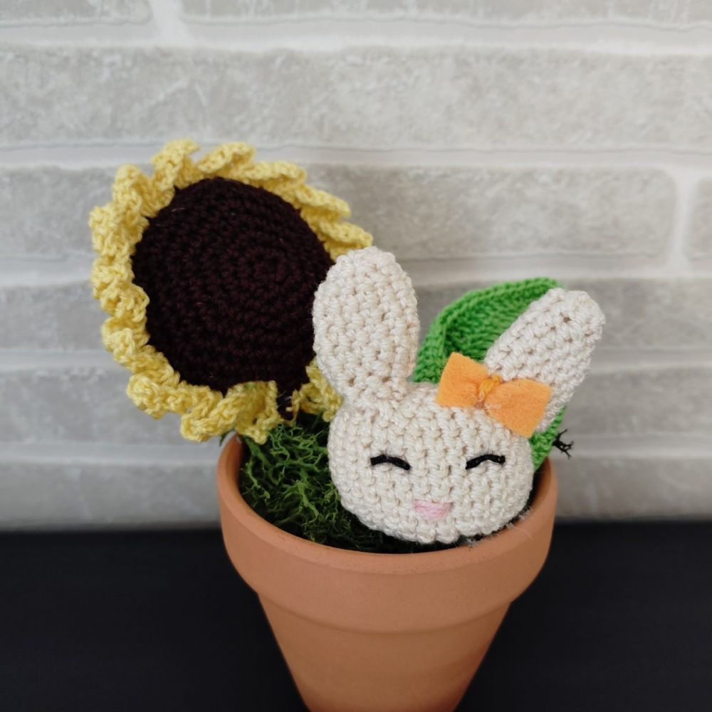 Tournesol dans son vase en terre cuite avec son lapin