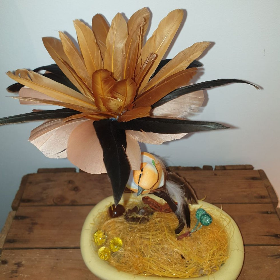 Miniature : Composition fleur de plumes