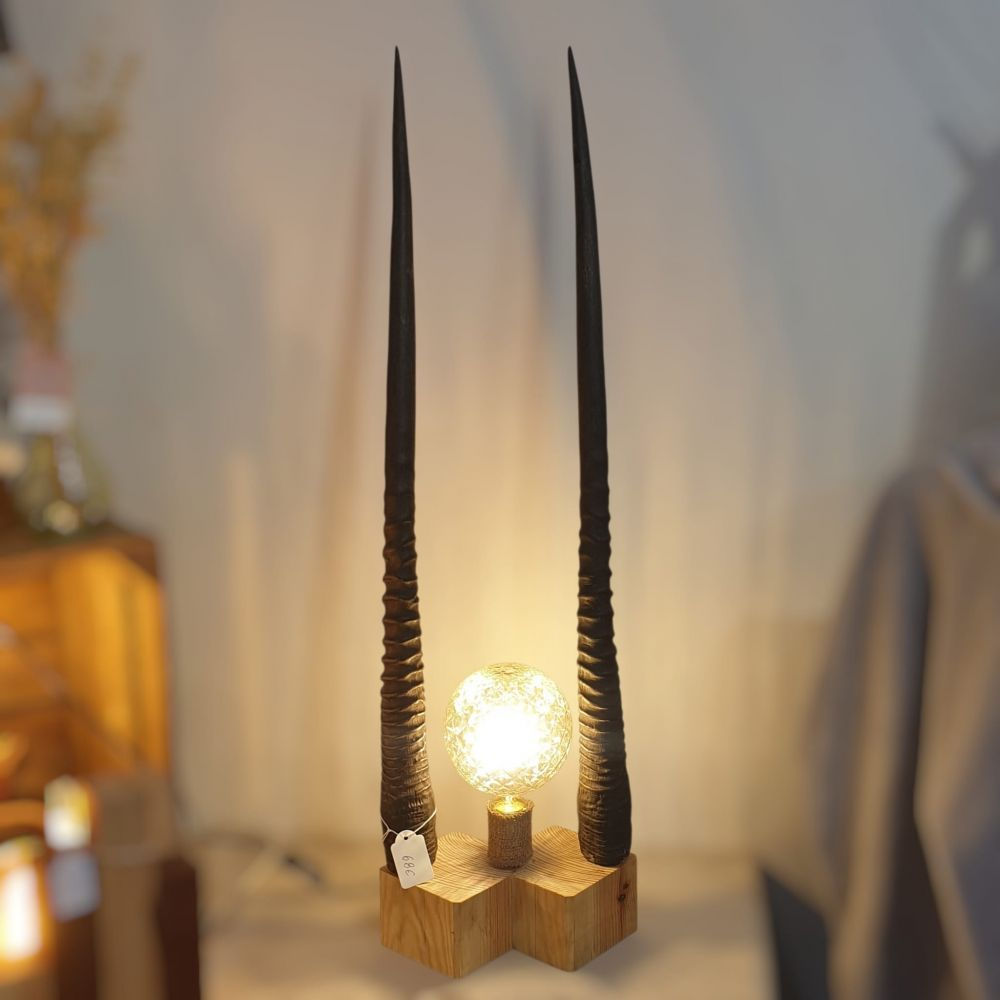 Grande lampe avec Cornes d'Oryx