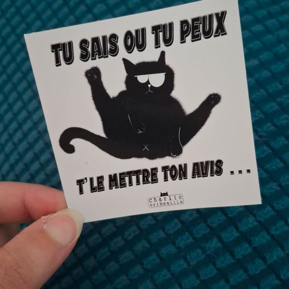 Sticker Tu sais ou tu peux t'le mettre ton avis