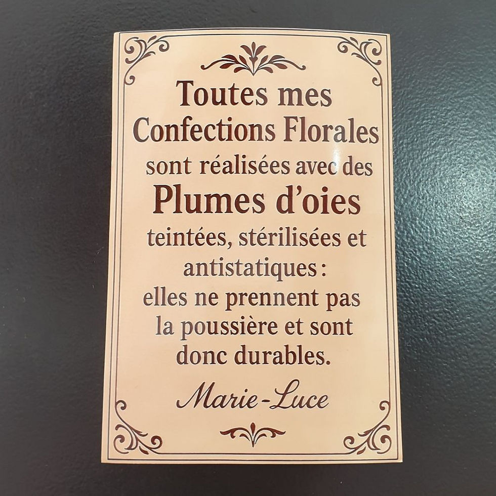 Miniature : Composition Fleur de Plumes