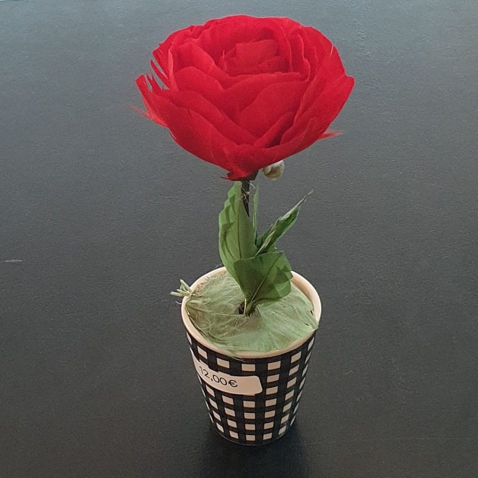 Miniature : Composition Fleur de Plume