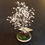Miniature : Arbre de vie