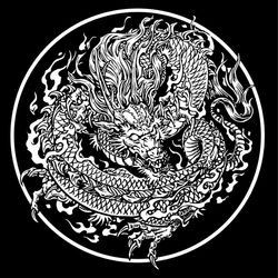 龍MA-1用