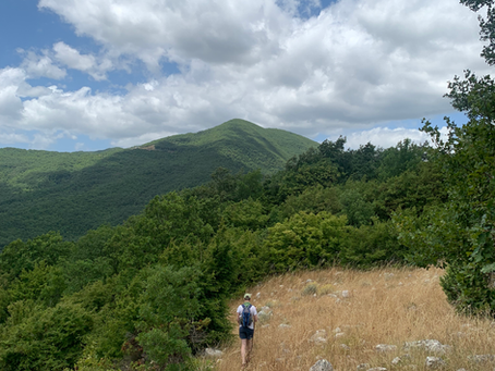 La poesia delle montagne