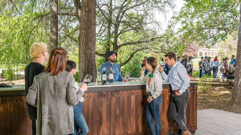 Degustação na Vinícola Concha y Toro