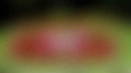 Relógio de flores em Valparaíso no Chile