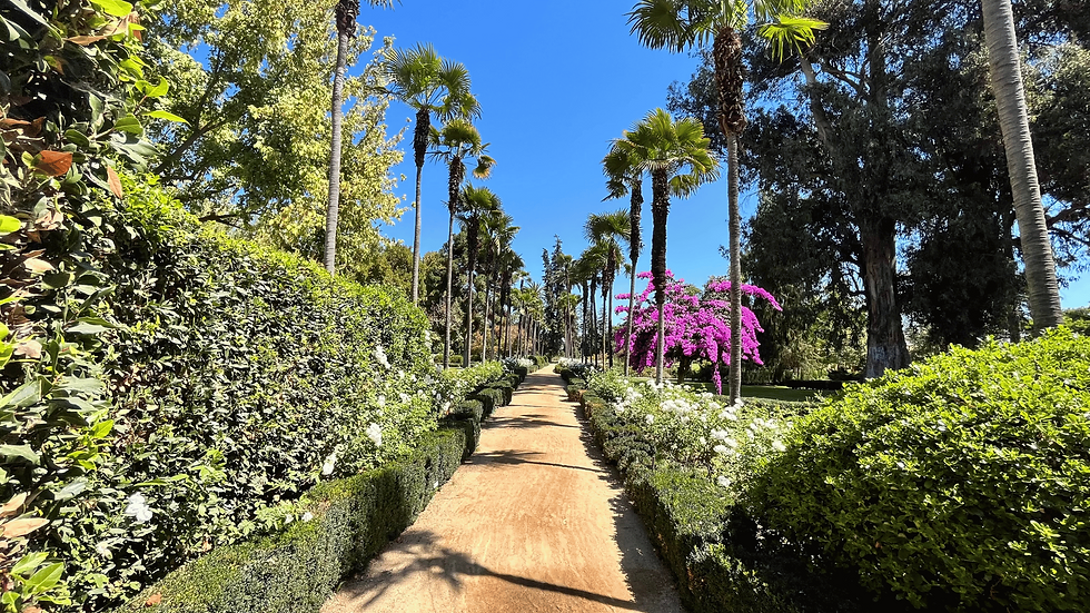 Vinícola florida no Chile