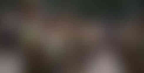 Oficias na troca de guarda em Santiago, Chile