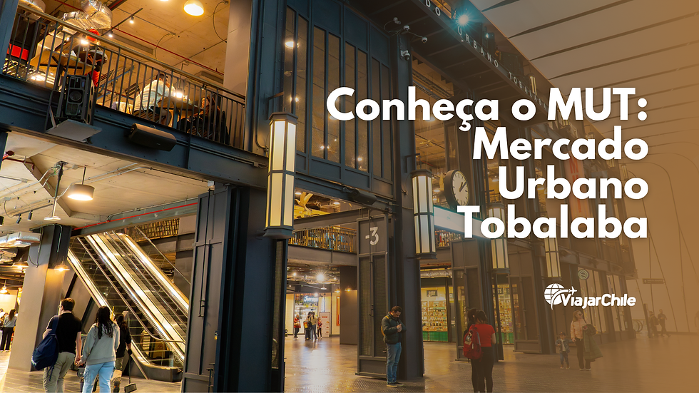 Conheça o MUT, Mercado Urbano Tobalaba