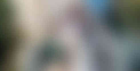 Grupo em passeio turístico por Valparaíso y Vina Del Mar