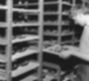 Armstrong Racks