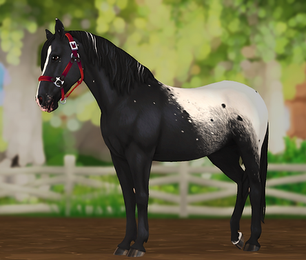 Namnlös design (17).png