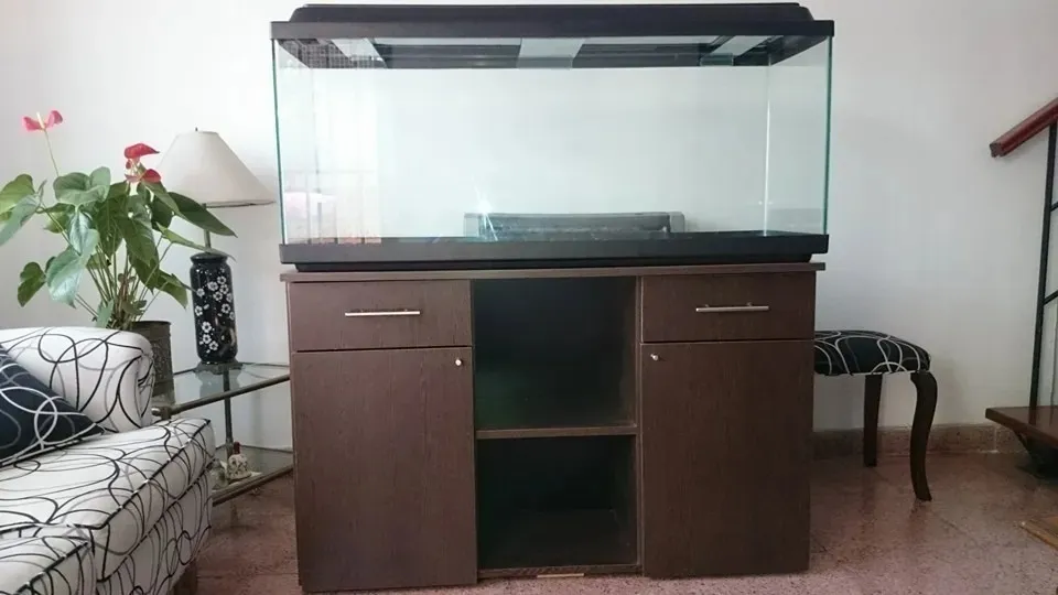 Pecera 1.20x40x 50 240 2