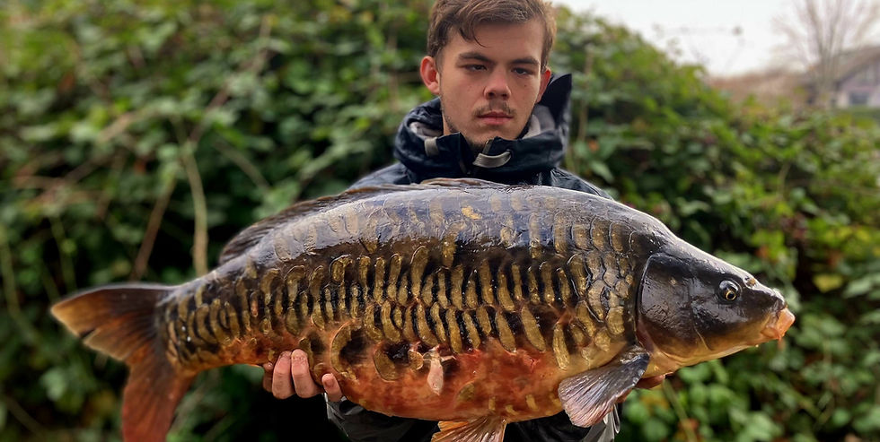 winter river Thames carp