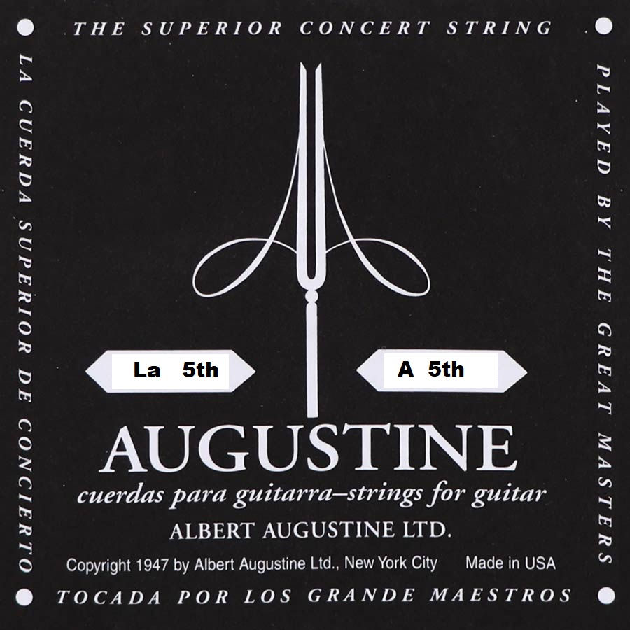 corde séparée guitare La Augustine en face noir