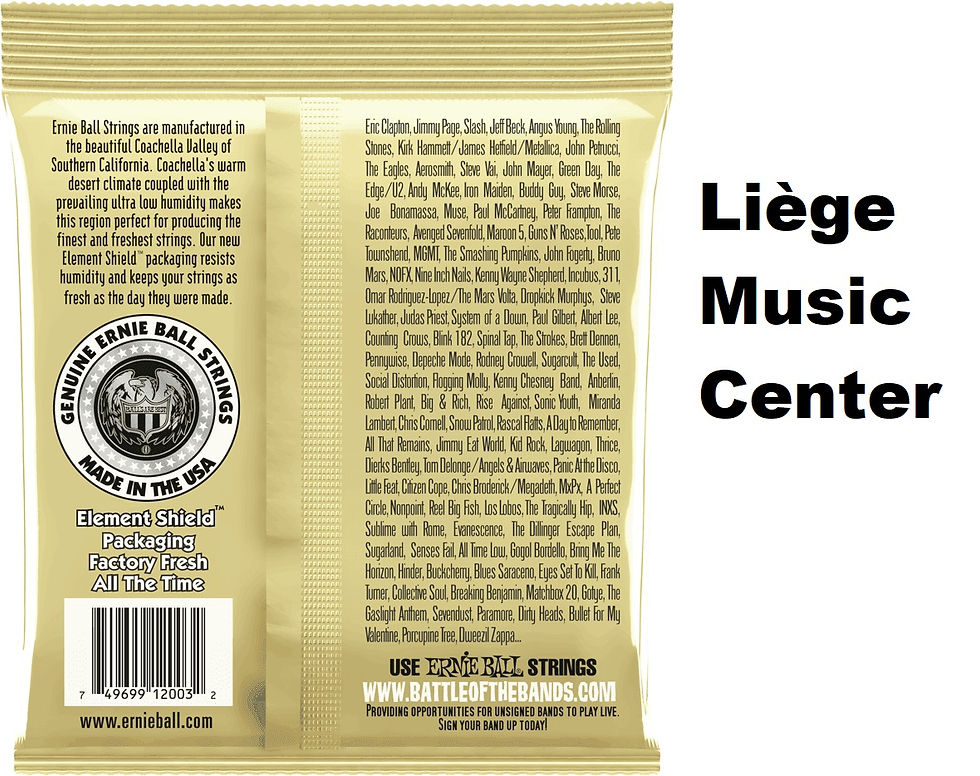 Miniature : cordes guitare acoustiques folk Ernie Ball Earthwood arrière 2003