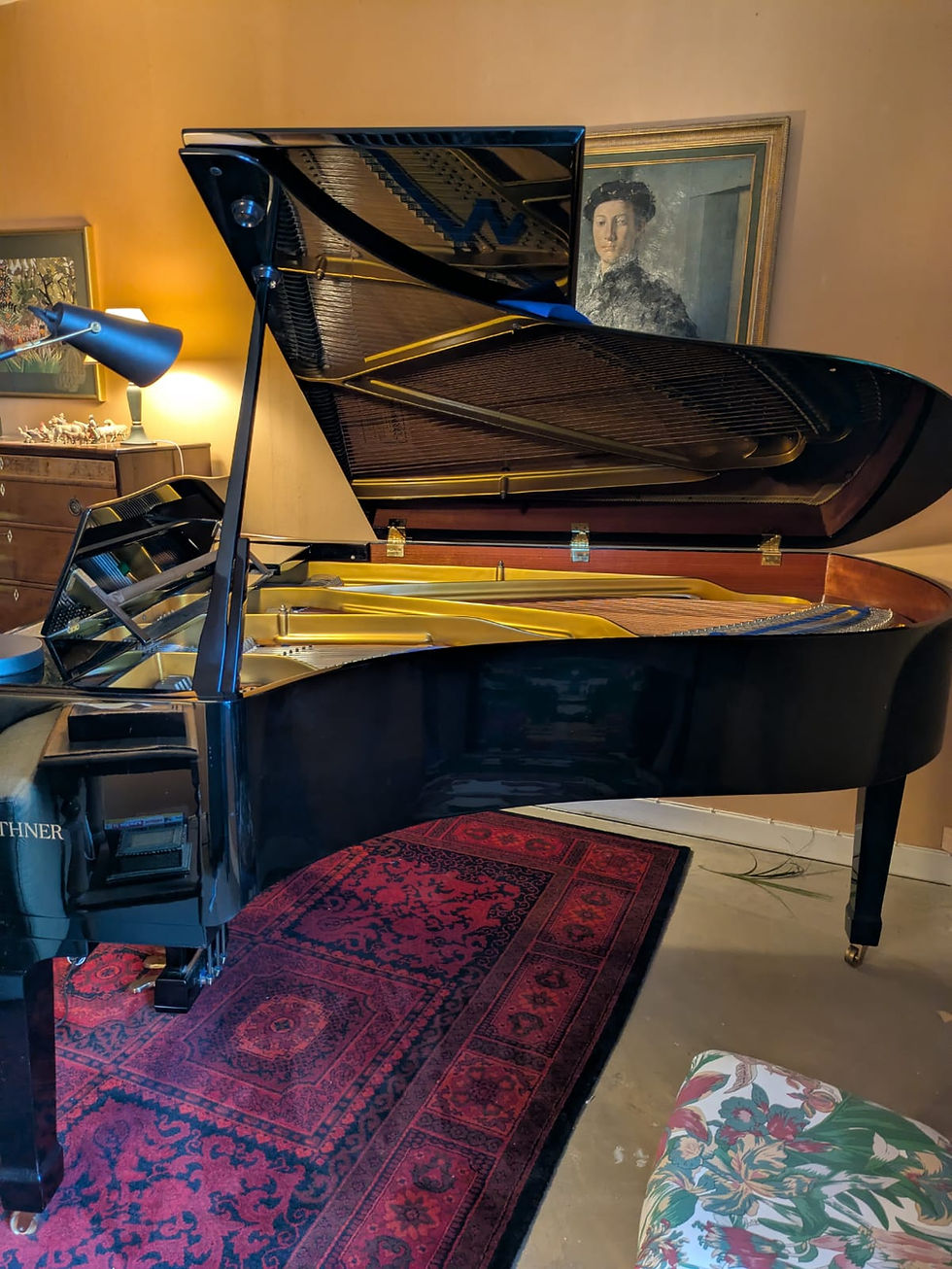 piano à queue Blüthner 190cm occasion 146694 en face noir poli