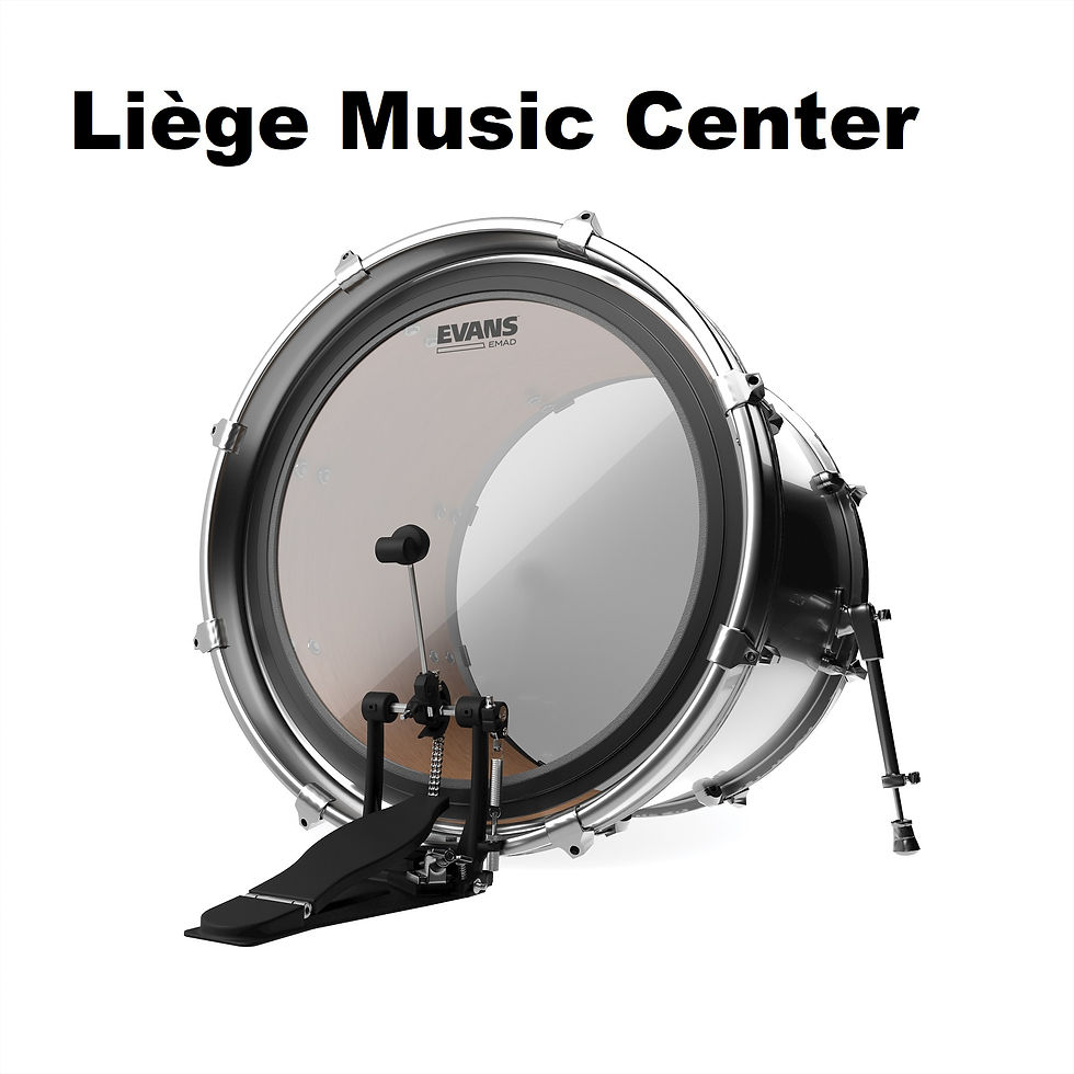 Miniaturbild: peau grosse caisse Evans basse BD22EMADx