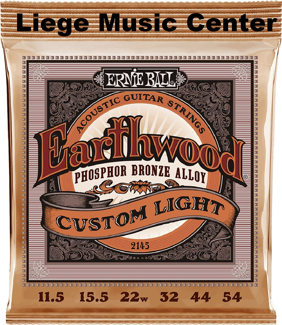 cordes guitare 🎸 acoustiques folk Ernie Ball Earthwood 2145