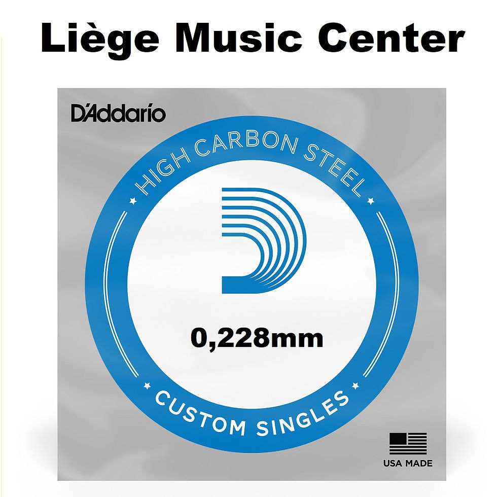 corde🎼séparée guitare 🎸 acoustique électrique 0,228mm D'Addario devant PL009