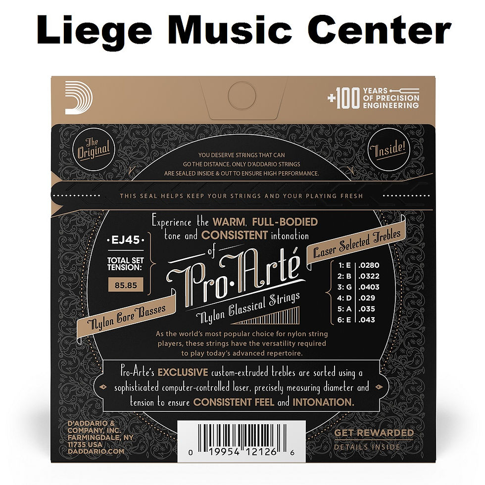 cordes guitare Liège arrière D'Addario Music Center Pro Arte EJ45
