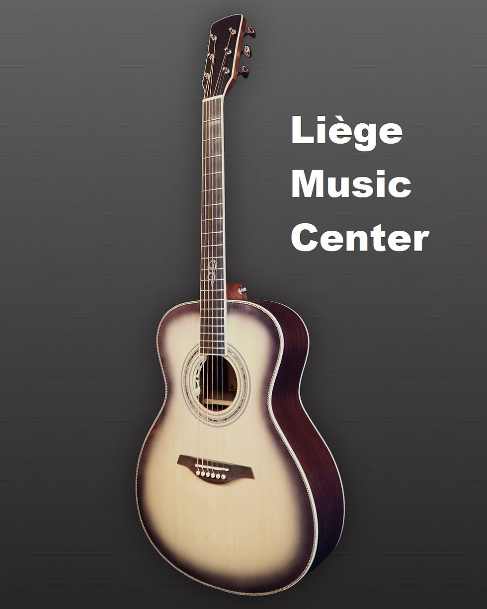 Guitare acoustique folk You's devant O200EGB