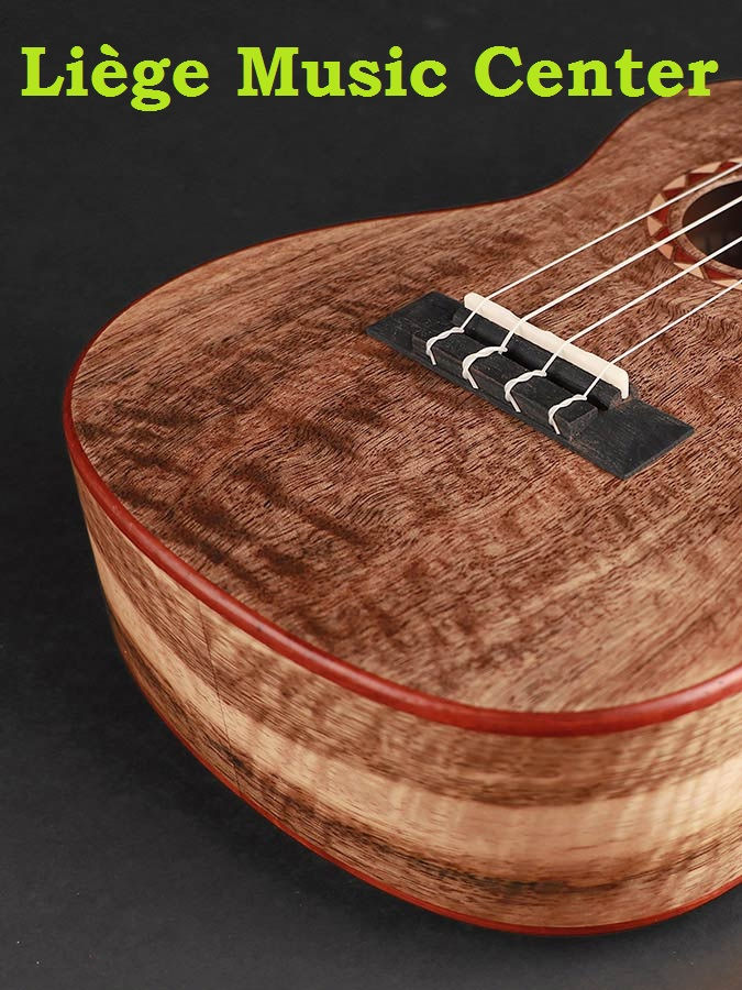 magasin boutique ukulélé concert Korala bois de mangue Liège Music Center
