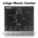 corde violon Mi 🎻 D'Addario Kaplan Vivo 4/4 medium en face KV311