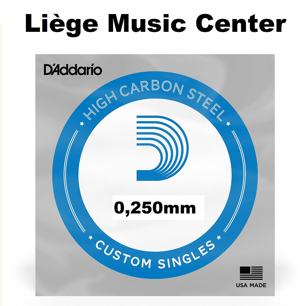corde🎼séparée guitare 🎸 acoustique électrique 0,250mm D'Addario devant PL010