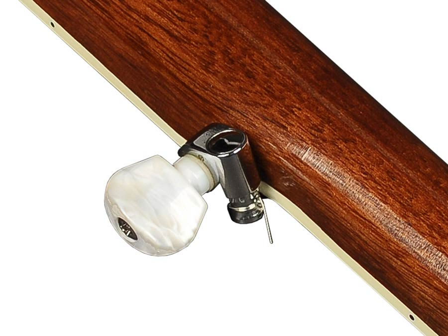 Thumbnail: banjo Liège boutons Richwood RMB405